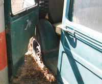 Suicide Door Willys Wagon